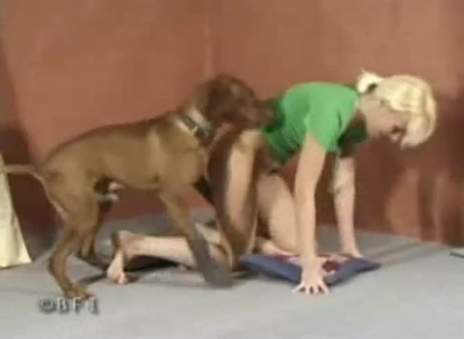 Video :Real life scooby doo dog porno with blonde girl